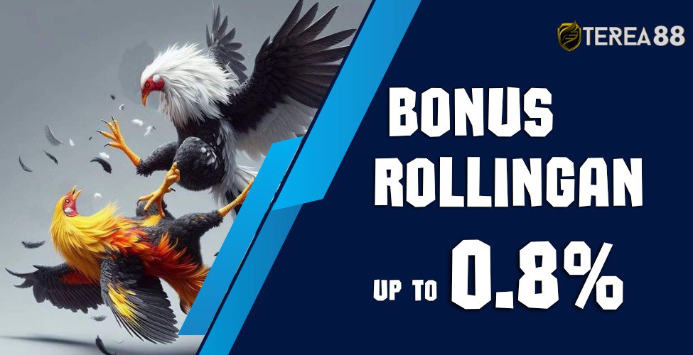 BONUS ROLLINGAN SEUMUR HIDUP